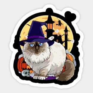 Birman Cat Funny Halloween Witch Pumpkin Sticker